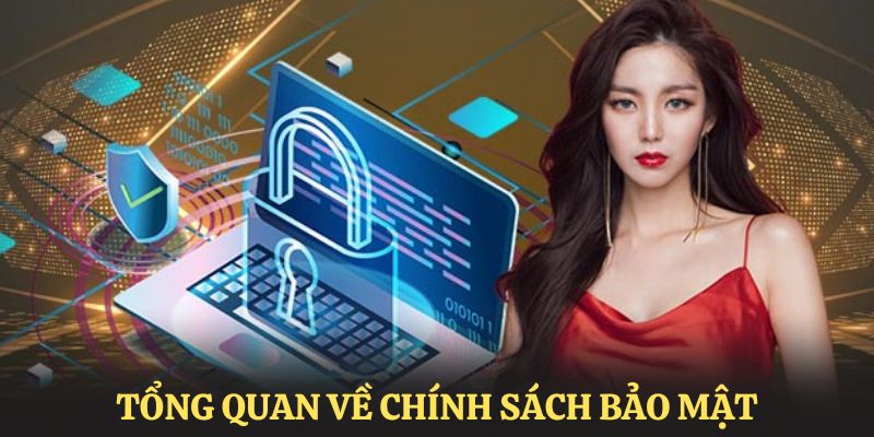 Tổng quan thông tin chung về điều khoản bảo mật