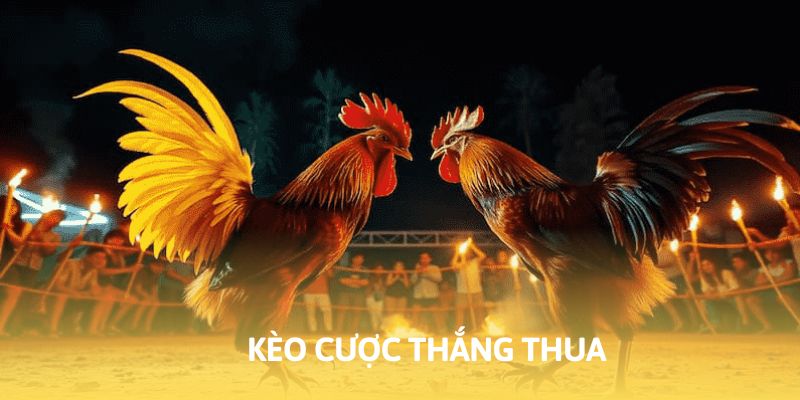 Kèo thắng thua khá cơ bản và phù hợp với người mới