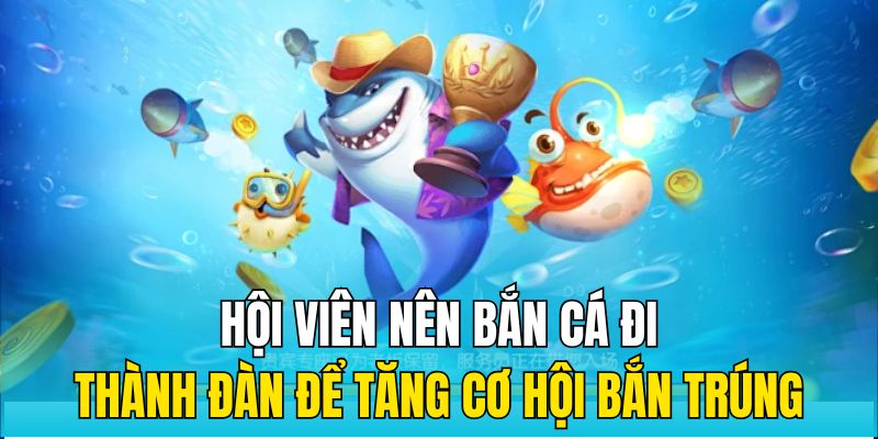 Hội viên nên bắn cá đi thành đàn để tăng cơ hội bắn trúng