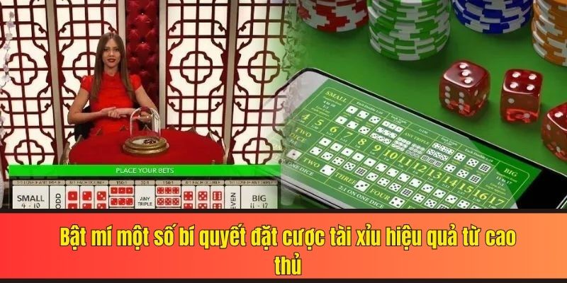 Bật mí một số bí quyết đặt cược tài xỉu hiệu quả từ cao thủ